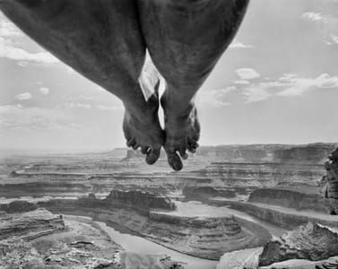Artwork Title: Untitled