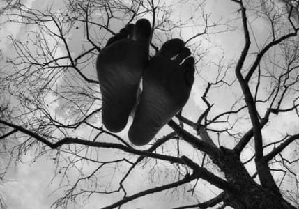 Artwork Title: Untitled