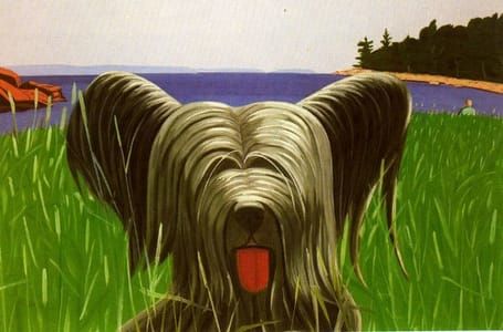 Artwork Title: Dog at Duck Trap