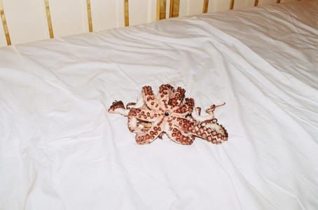 Artwork Title: Octopussy