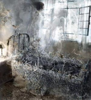 Artwork Title: Ash I