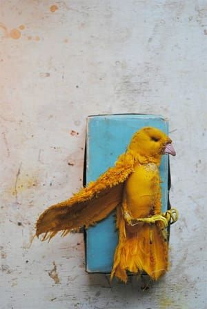Artwork Title: Untitled
