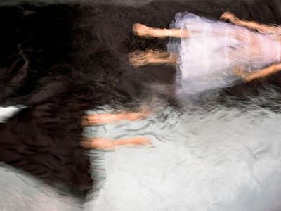 Artwork Title: Attraction