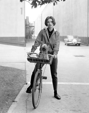 Artwork Title: Audrey Hepburn; On Her Bike With Her Famous Dog At Paramount Studios