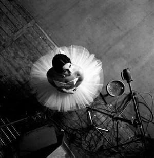 Artwork Title: Untitled