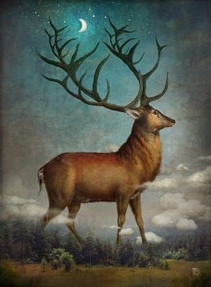 Artwork Title: King Of The Night