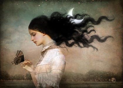 Artwork Title: She Likes The Night
