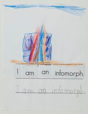 Artwork Title: Infomorph