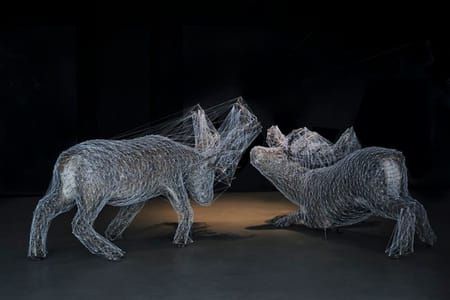Artwork Title: Combat Constellation (deer)