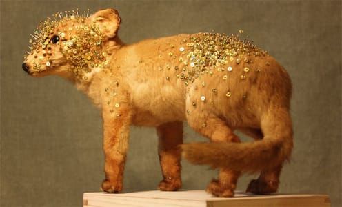 Artwork Title: Petit Renard Etoilé