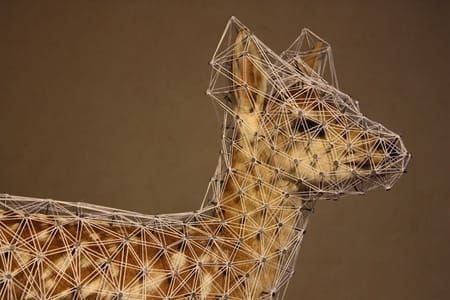 Artwork Title: Constellation Du Faon