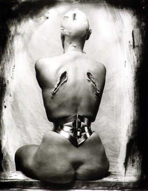 Artwork Title: Woman once a bird