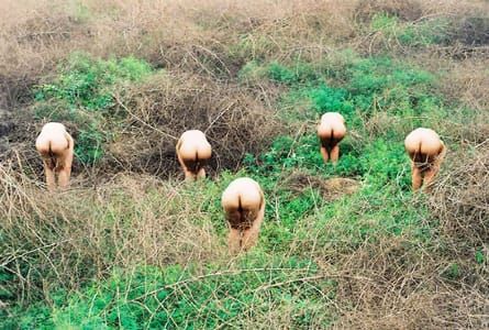 Artwork Title: Untitled