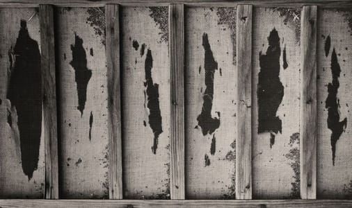 Artwork Title: Untitled