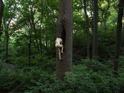 Artwork Title: Untitled