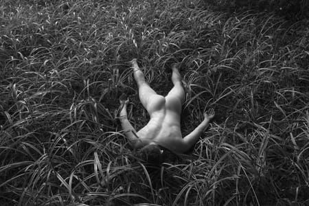 Artwork Title: Untitled