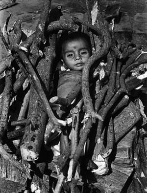 Artwork Title: Untitled