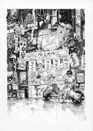 Artwork Title: Illustration de Singelin