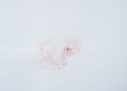 Artwork Title: Untitled