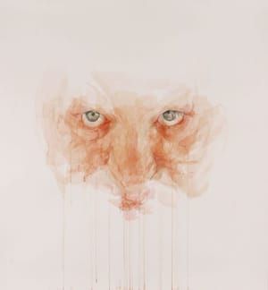 Artwork Title: Gaze