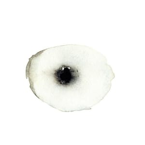 Artwork Title: Eye