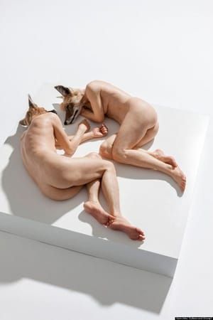 Artwork Title: Untitled