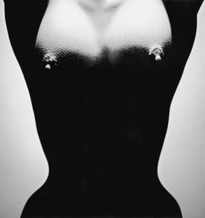 Artwork Title: Untitled