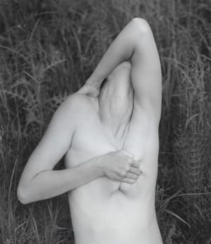 Artwork Title: Untitled