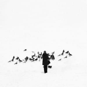Artwork Title: Feeding The Ducks
