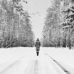 Artwork Title: Walk Away