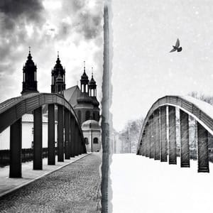 Artwork Title: Summer Winter