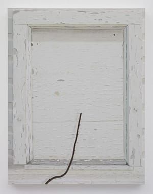 Artwork Title: Woodshed (Vine)