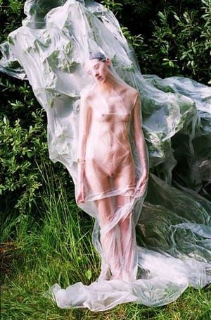 Artwork Title: Untitled