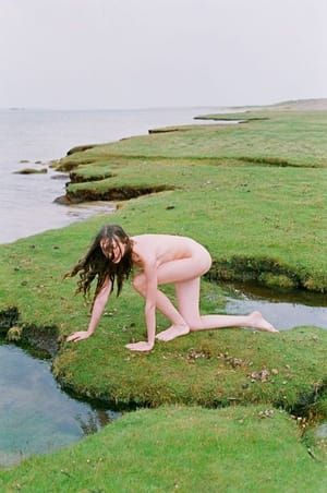 Artwork Title: Animalism, Naturalism