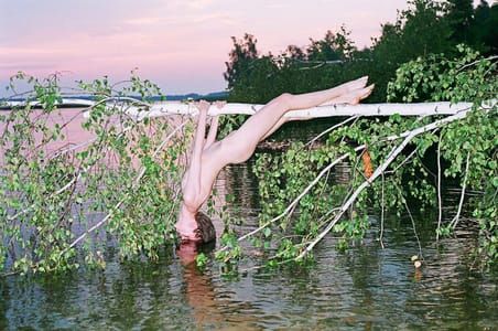 Artwork Title: Animalism, Naturalism