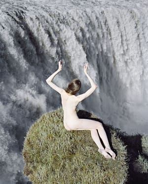 Artwork Title: Reverie sleep / Animalism, Naturalism