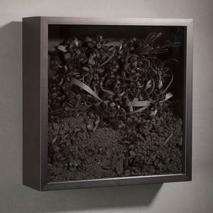 Artwork Title: A Third Nature no. 7