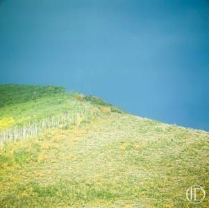 Artwork Title: Colorado