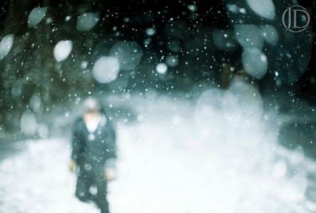 Artwork Title: Snow Globe
