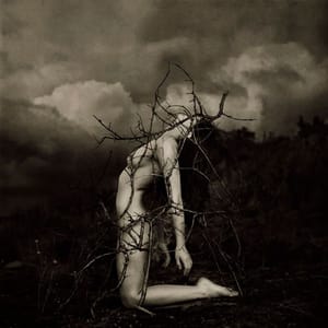 Artwork Title: Chrysalis
