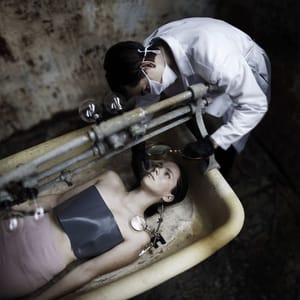 Artwork Title: The Inspection