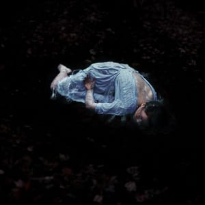 Artwork Title: Sinking Inside