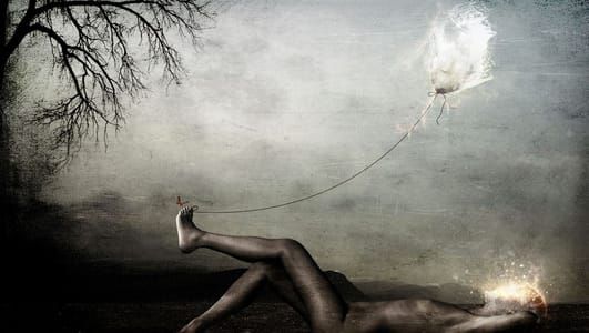 Artwork Title: Butterfly And The Dreamer