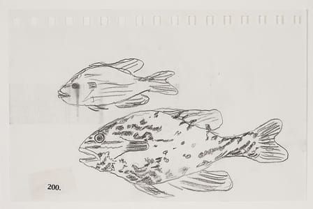 Artwork Title: Tennessee Fish