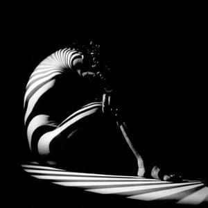 Artwork Title: Zebra Woman