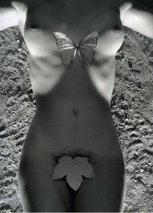 Artwork Title: Untitled