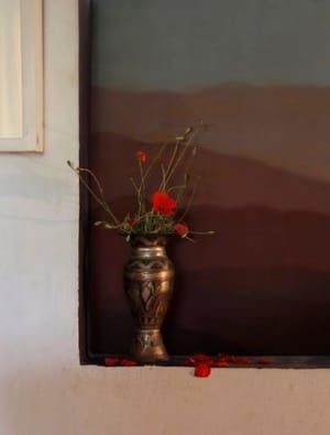 Artwork Title: Papaver Hybridum