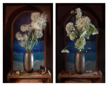 Artwork Title: Tragopogon Longirostris Daucus Broteri