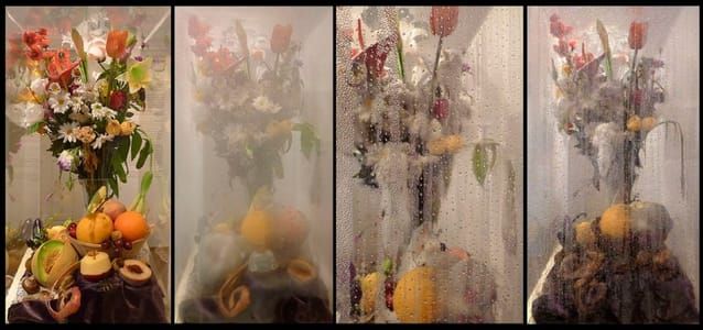 Artwork Title: Stop Motion
