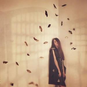 Artwork Title: Butterfly Effect